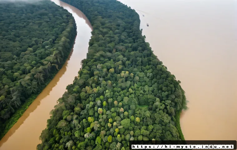 브라질 아마존 부족 실종 사건 - Photorealistic aerial view of a vast Brazilian Amazon rainforest at dawn, dense emerald canopy divid...